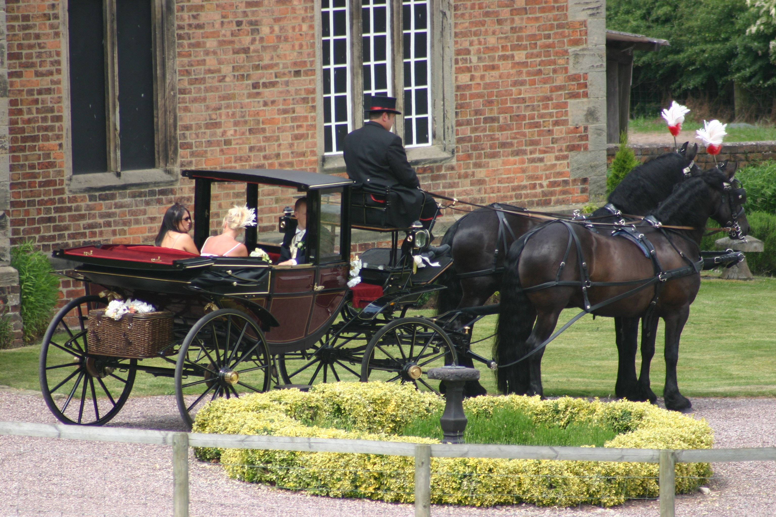 Haywood Park Farm horse and carriage