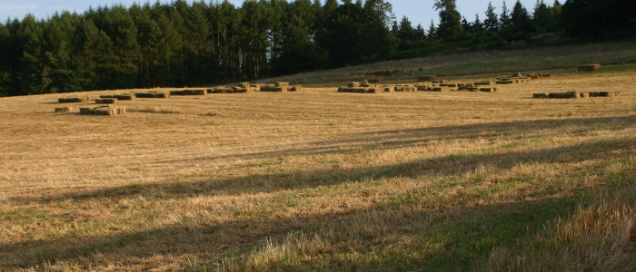 Haywood Park Farm field