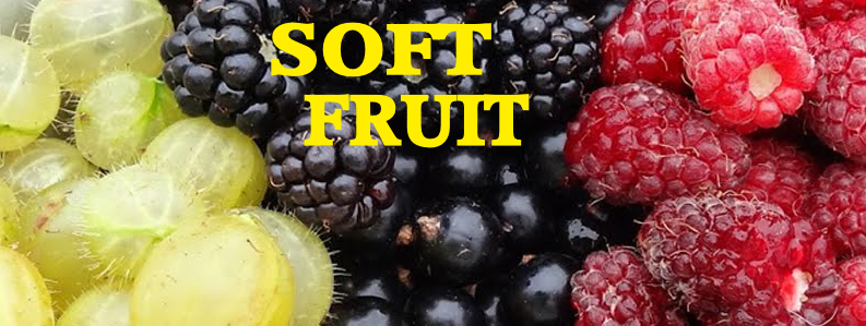 soft fruit